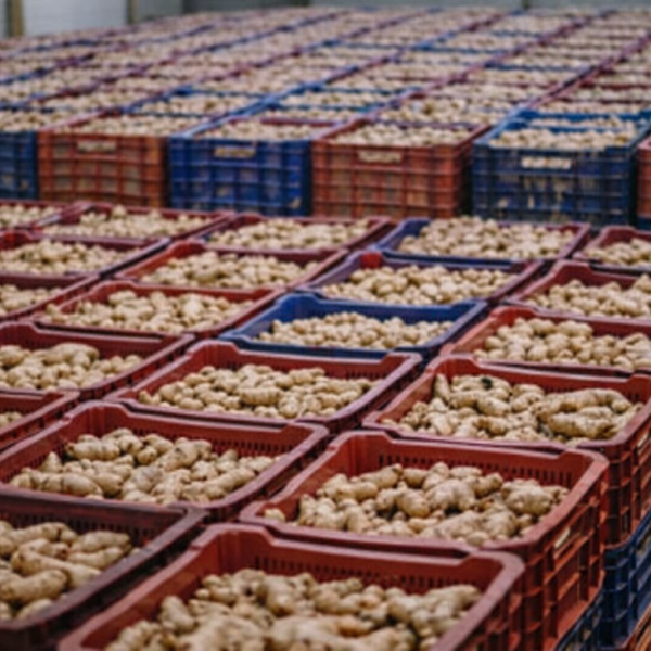 ChatGPT Image 12 ene 2026, 23_58_07